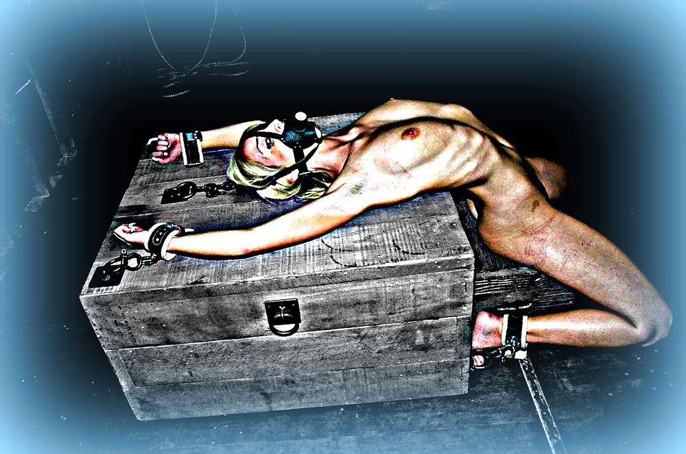 Putas jodidas
 #32517206