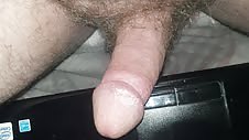 Getting ready to cum on hamster #37720135