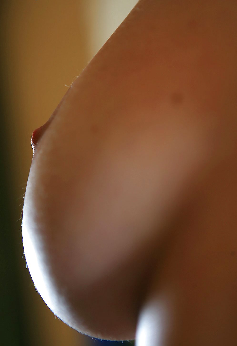 シエナ
 #35784244