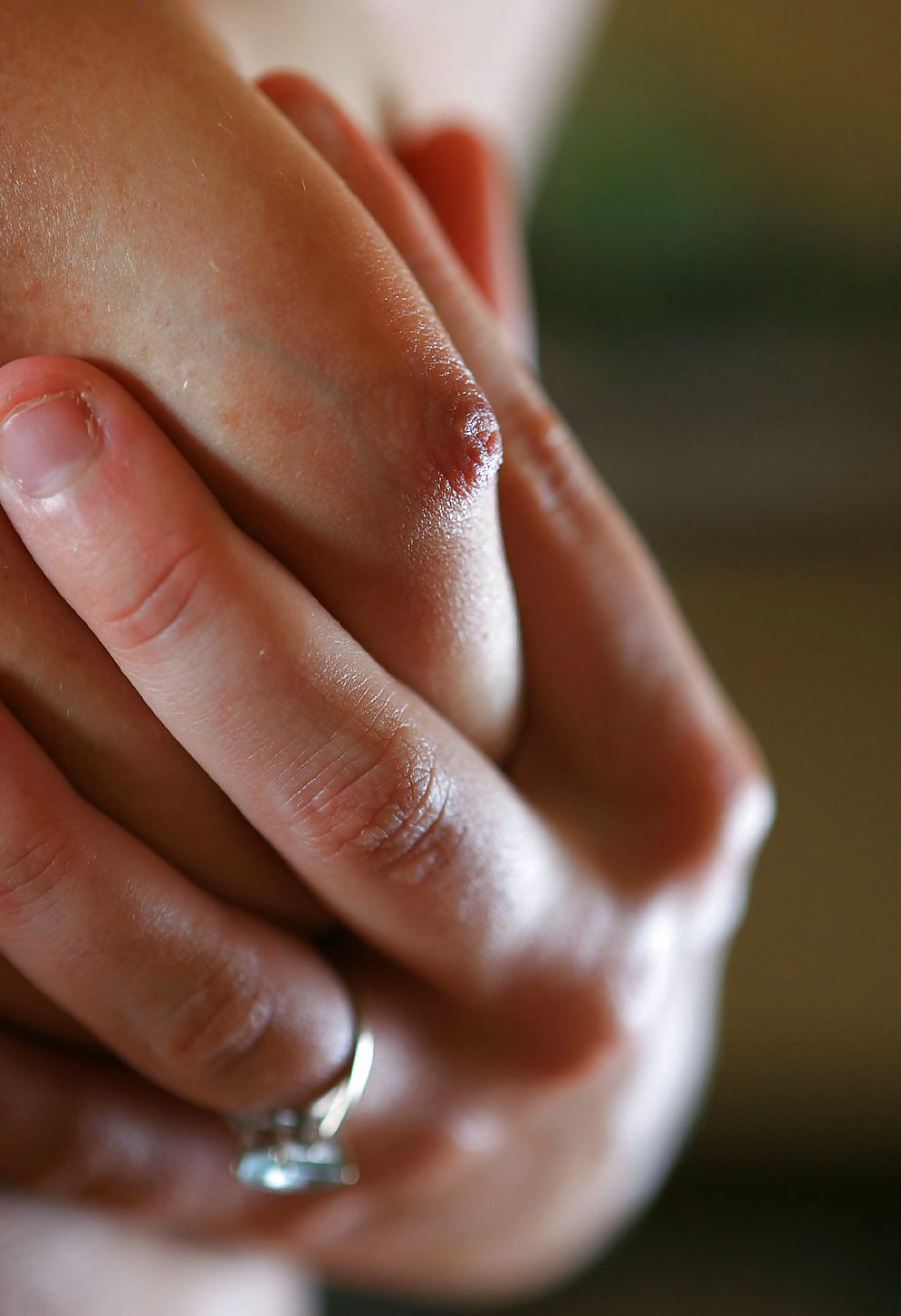 シエナ
 #35784505