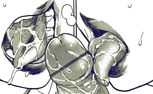 Dibujos-bocetos
 #28758832
