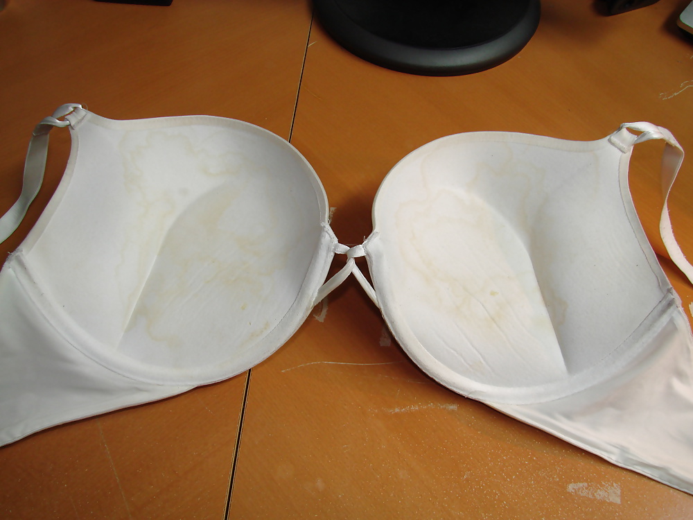 Padded Cups Cum Stained  #41101538