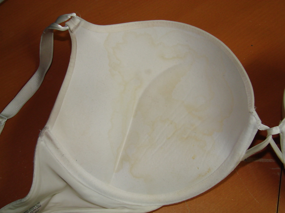 Padded Cups Cum Stained  #41101543