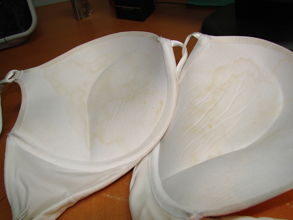 Padded Cups Cum Stained  #41101556