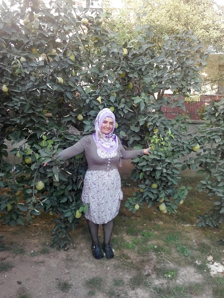 Turbanli arab turkish hijab baki indian #30123833
