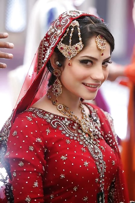 Paki delights
 #25802473