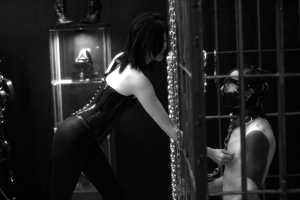 Femdom - captured in cage #25242304