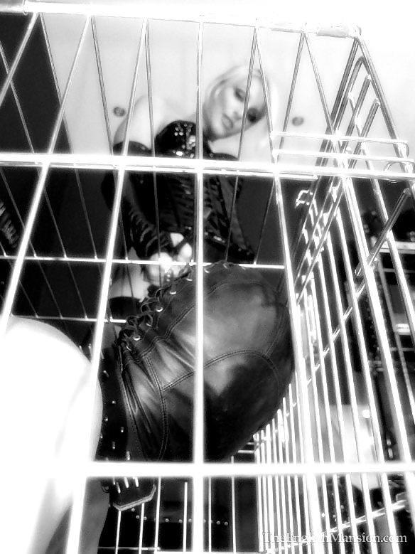 Femdom - captured in cage #25242358