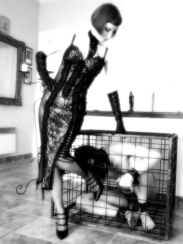 Femdom - captured in cage #25242372