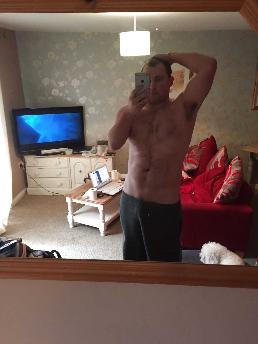 Nuevo yo 
 #30320890