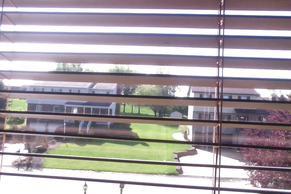 Showing my neighbors #25308004