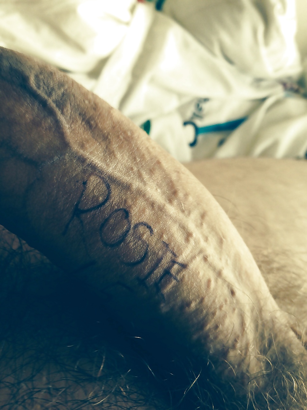 My Very Special Requests Folder. No boys allowed! #24293161