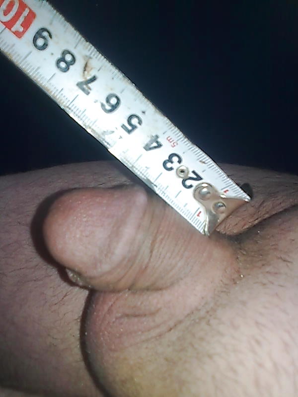 私の勃起
 #25591392