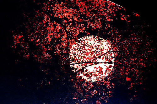 In the moon... and my dreams #34487254