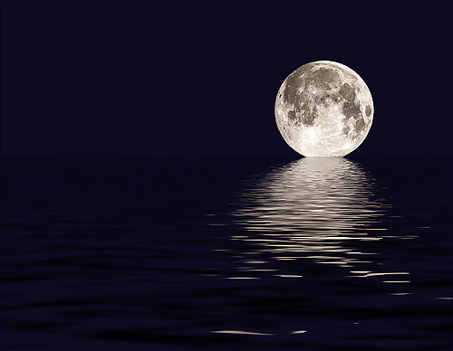In the moon... and my dreams #34487260