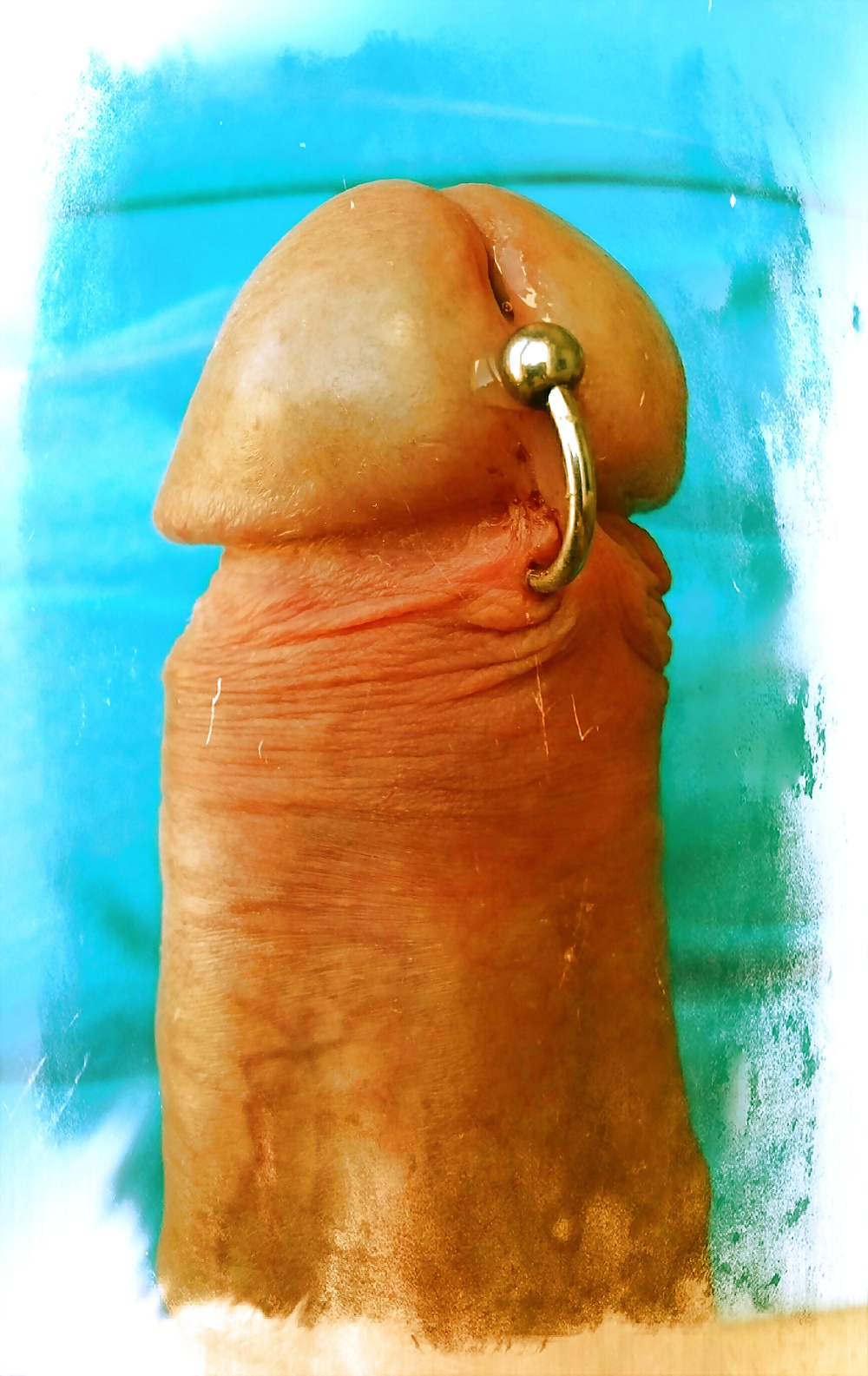 New Prins Albert Piercing 
 #40807638