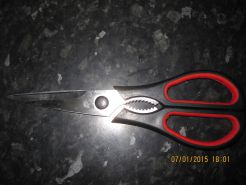 Castration