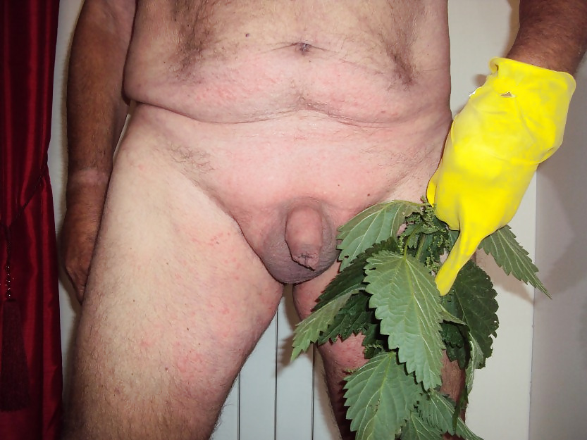 Diversión de ortiga
 #40236947