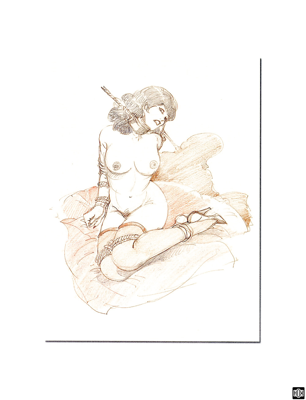 Leone frollo - para complacer
 #36939433