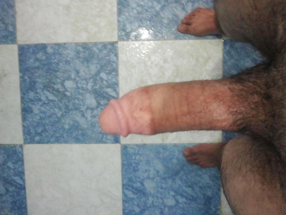 Ma bite (zebbbi)
 #32238799