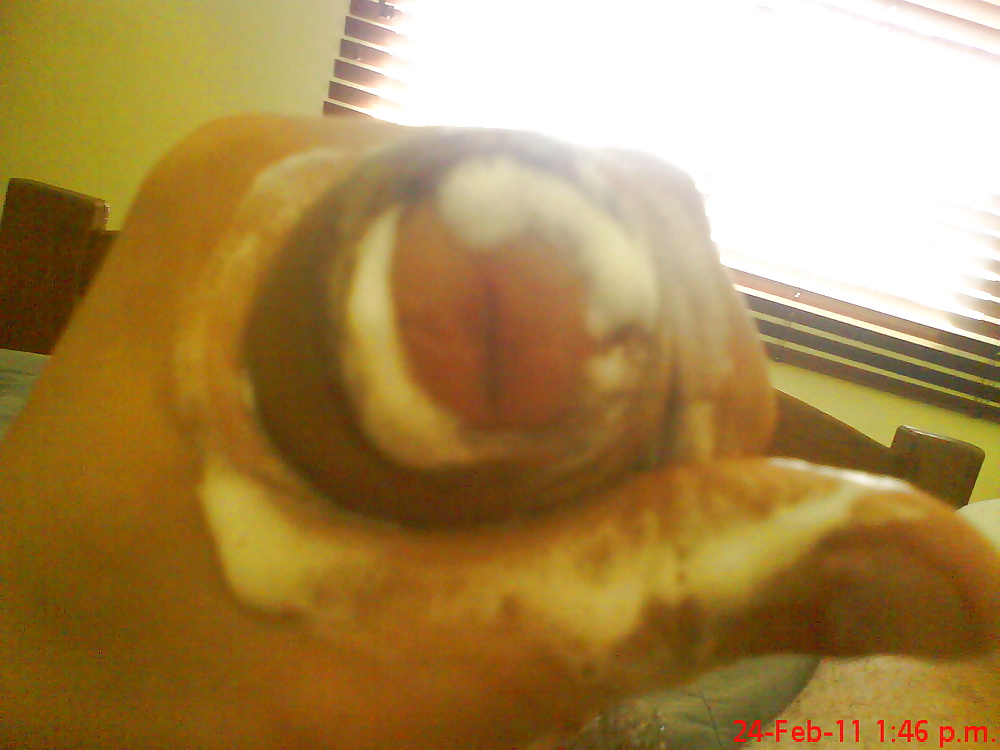 新しい写真
 #24195976