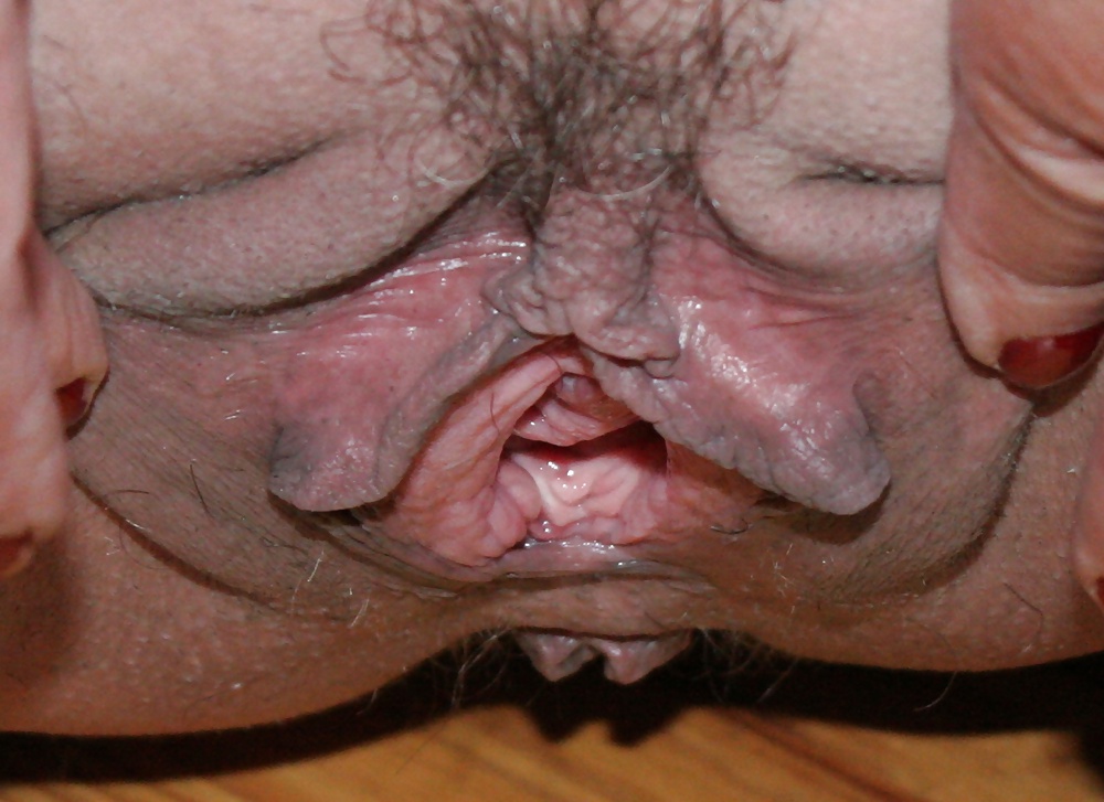 ロゼット12
 #32176659