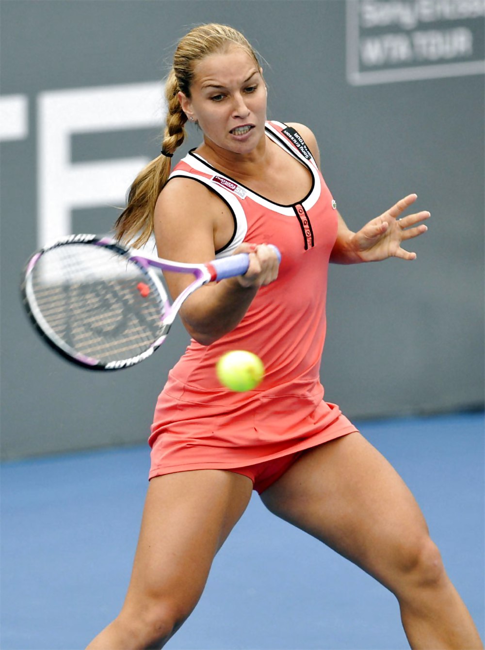 Dominika cibulkova
 #37773044