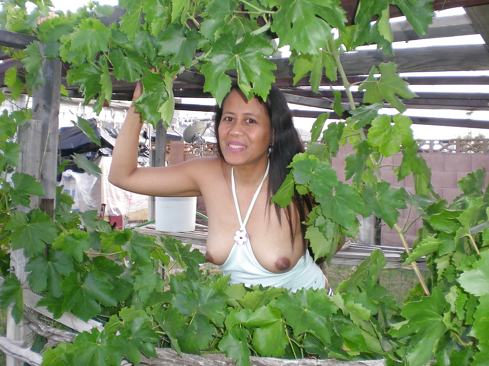 Madura asiática
 #25687038