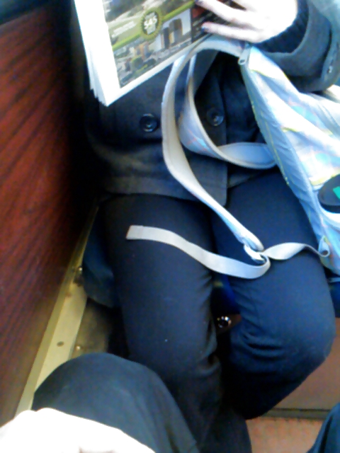 Voyeur - Karen Gillan lookalike on the train #37703266