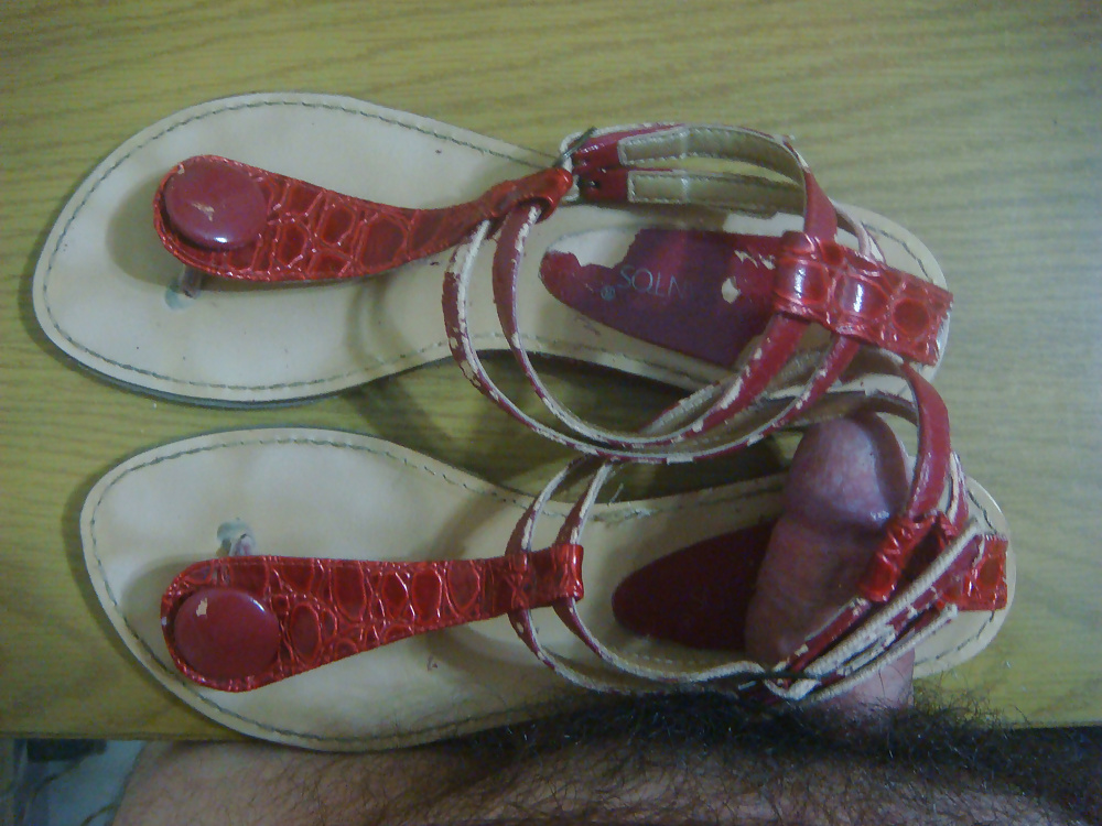Kriechend Rot Suzana Santos #40512729