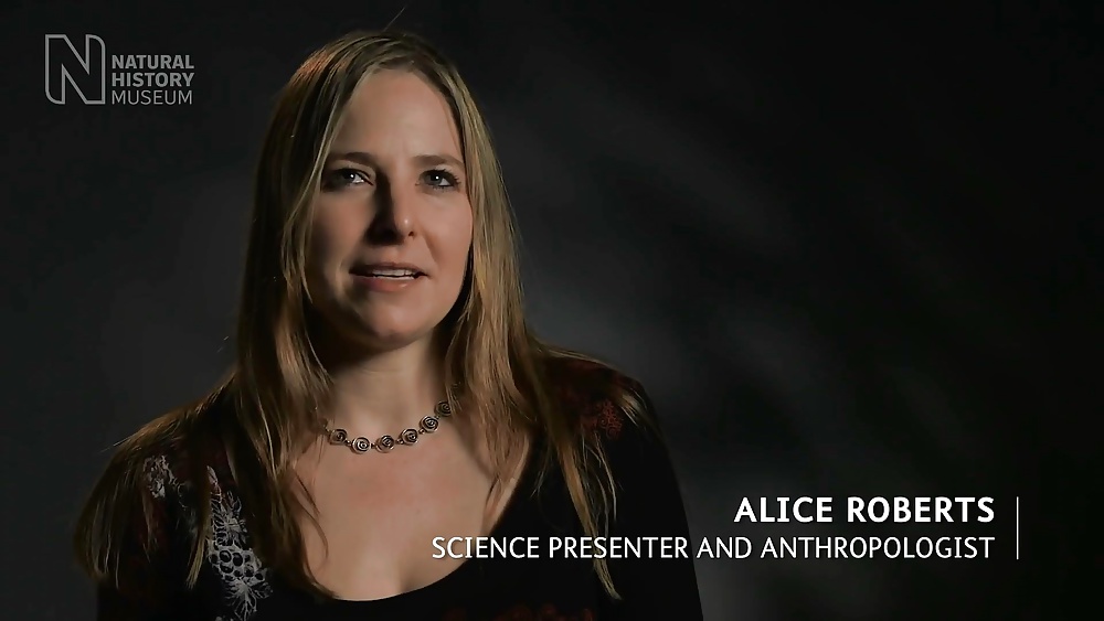 Alice Roberts #24480453