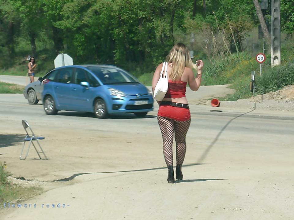 Prostitute di strada. roadflowers 1
 #32179067