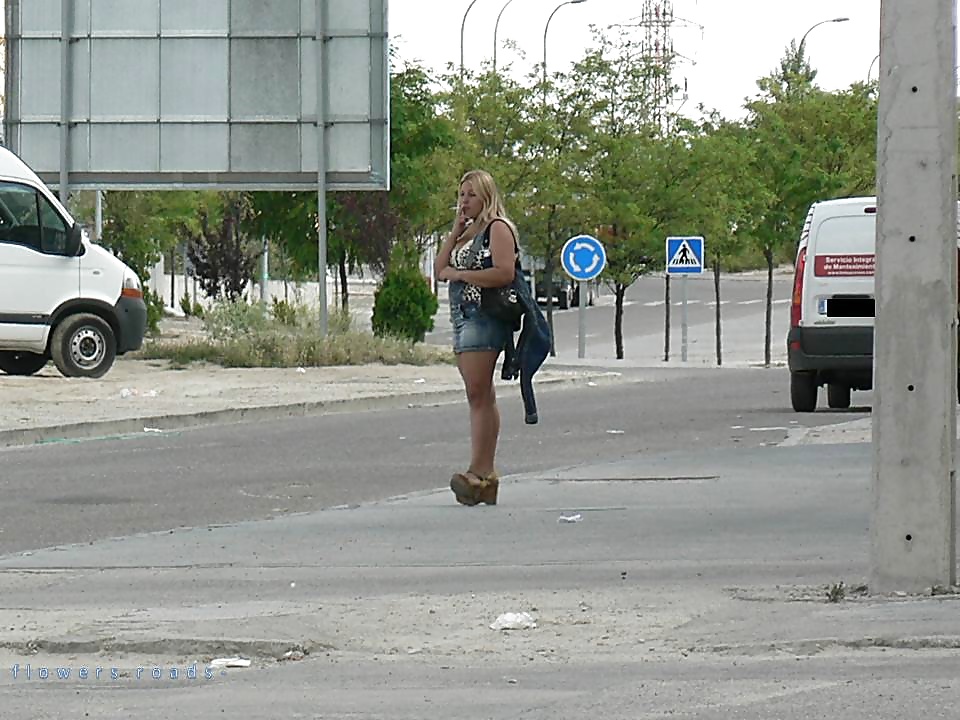 Street hookers. Roadflowers 1
 #32179074