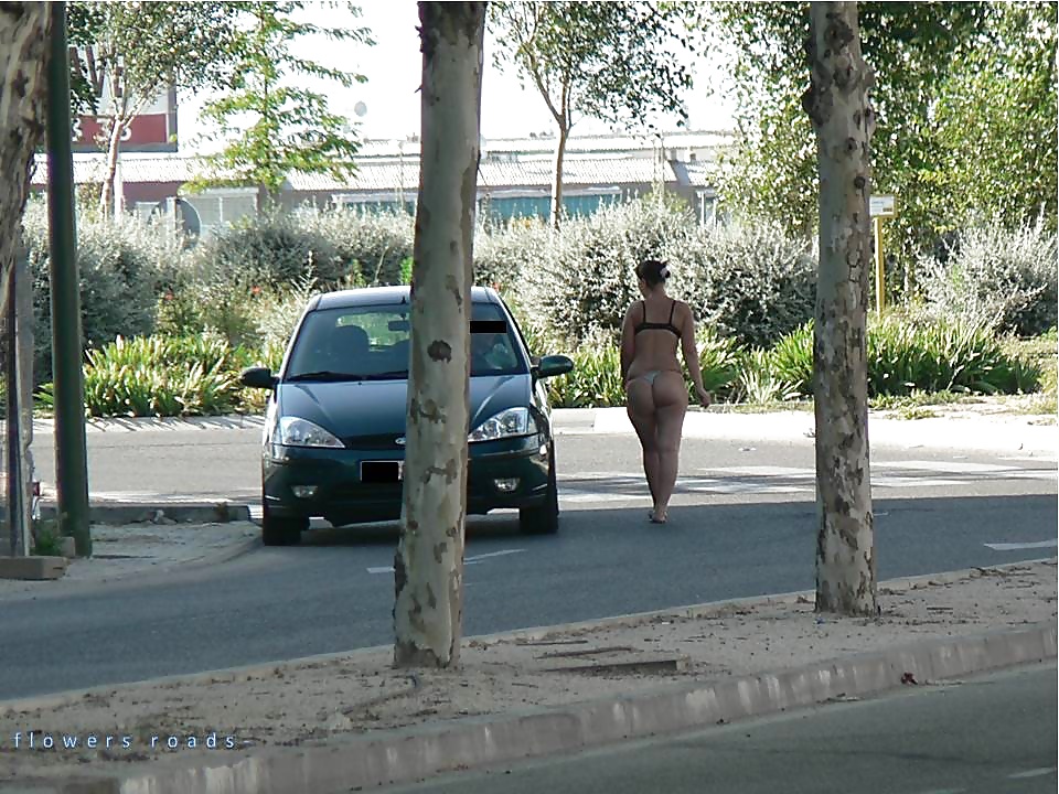 Prostitute di strada. roadflowers 1
 #32179075