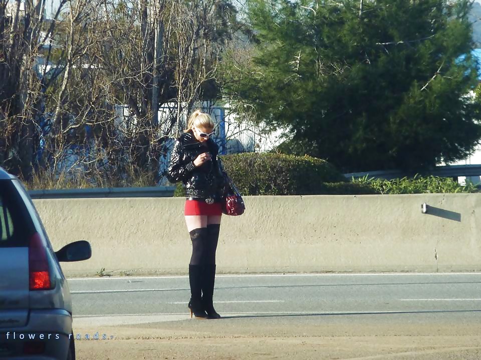 Street hookers. Roadflowers 1 #32179079