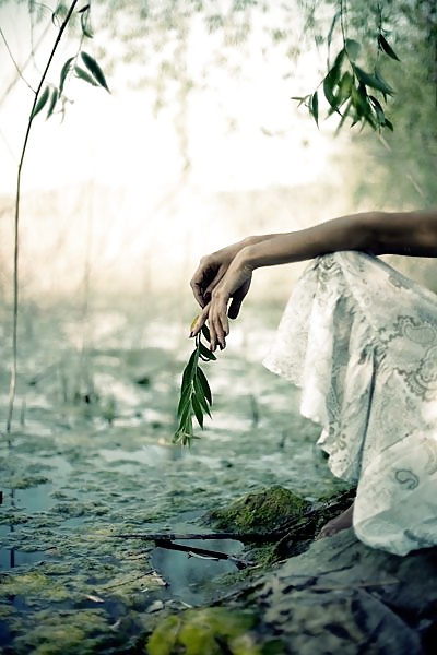 瞑想....
 #37301479