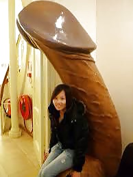 Fotos divertidas
 #26889726