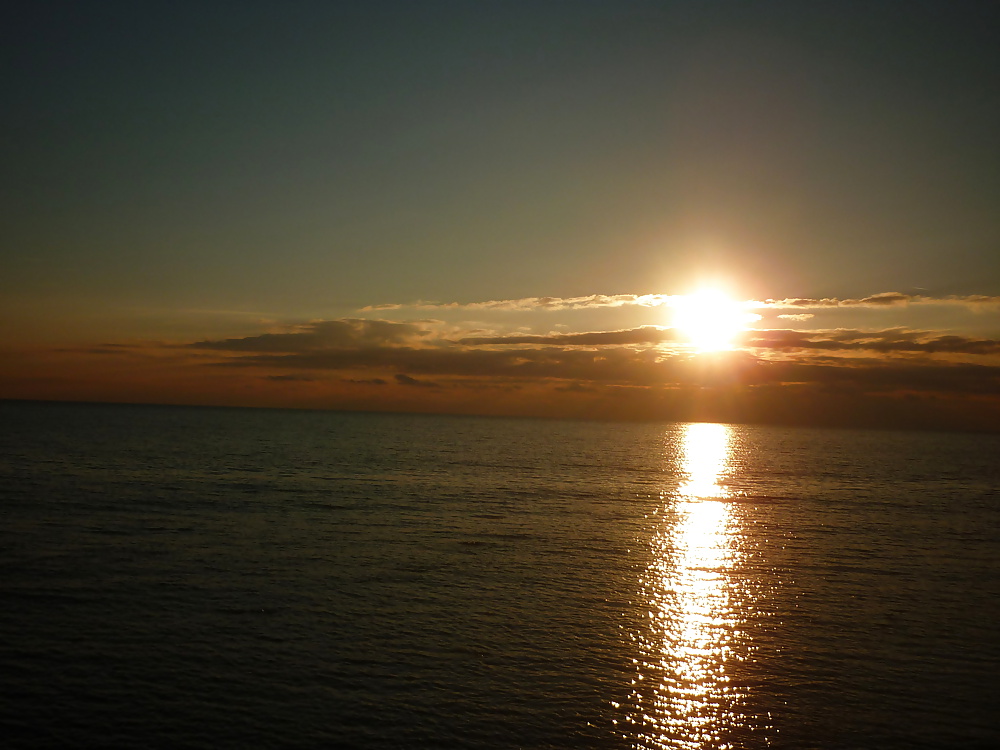 プレデター
 #25128816