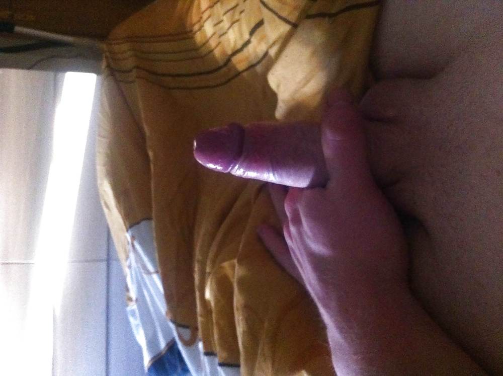 私のシュワンツ :)
 #37073662