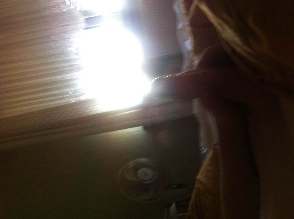 私のシュワンツ :)
 #37073666