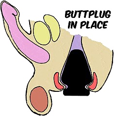 Il grande buttplug
 #25455246