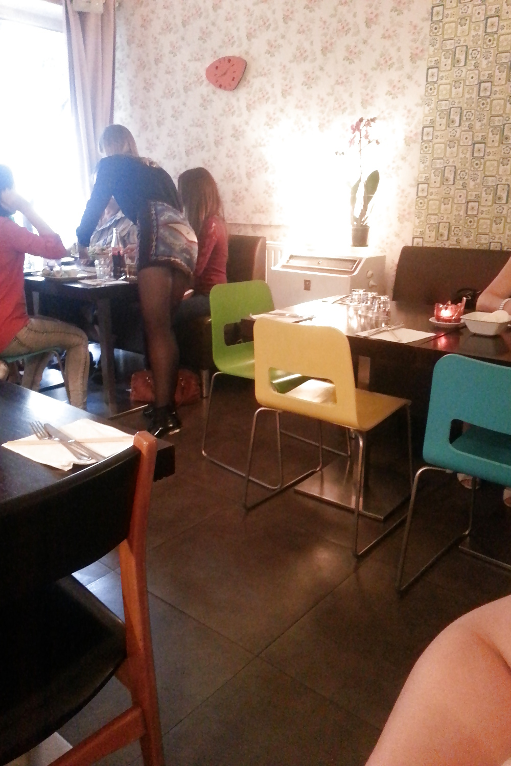 Cochonnes 1
 #24966284