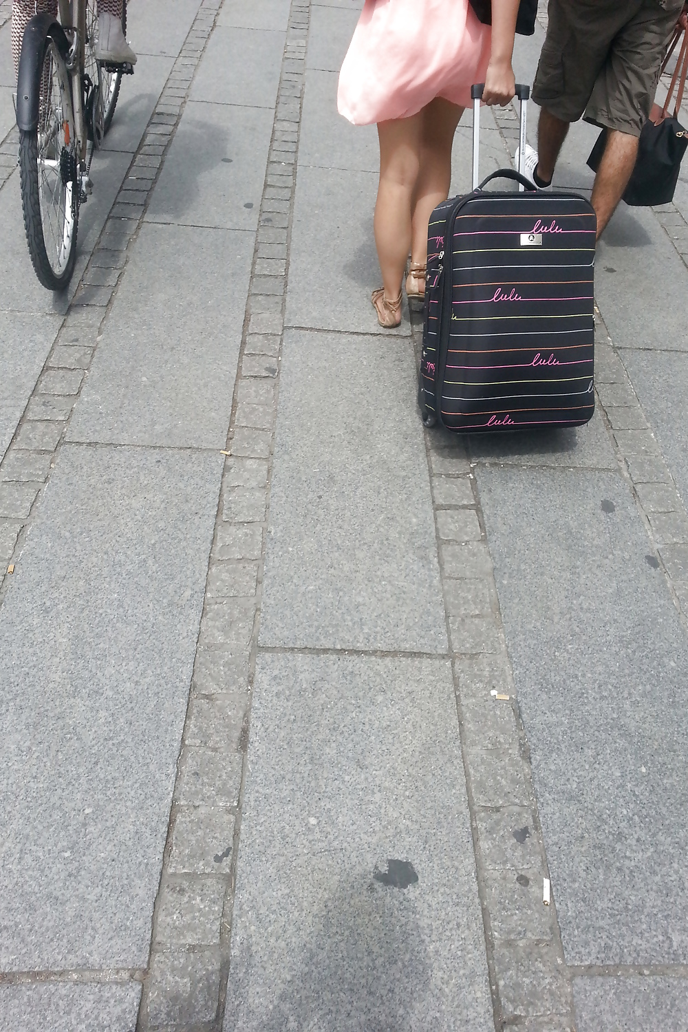 Cochonnes 1
 #24966321