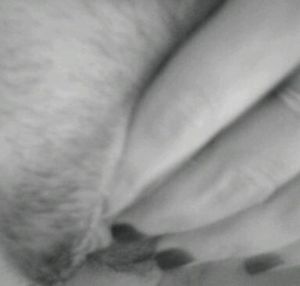 More of the ex getting horny  #28825441