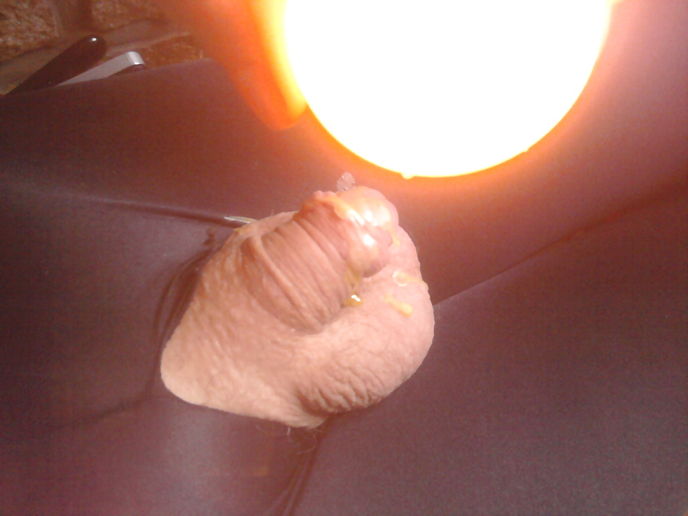 Choux Cbt Herrschaft #34980342