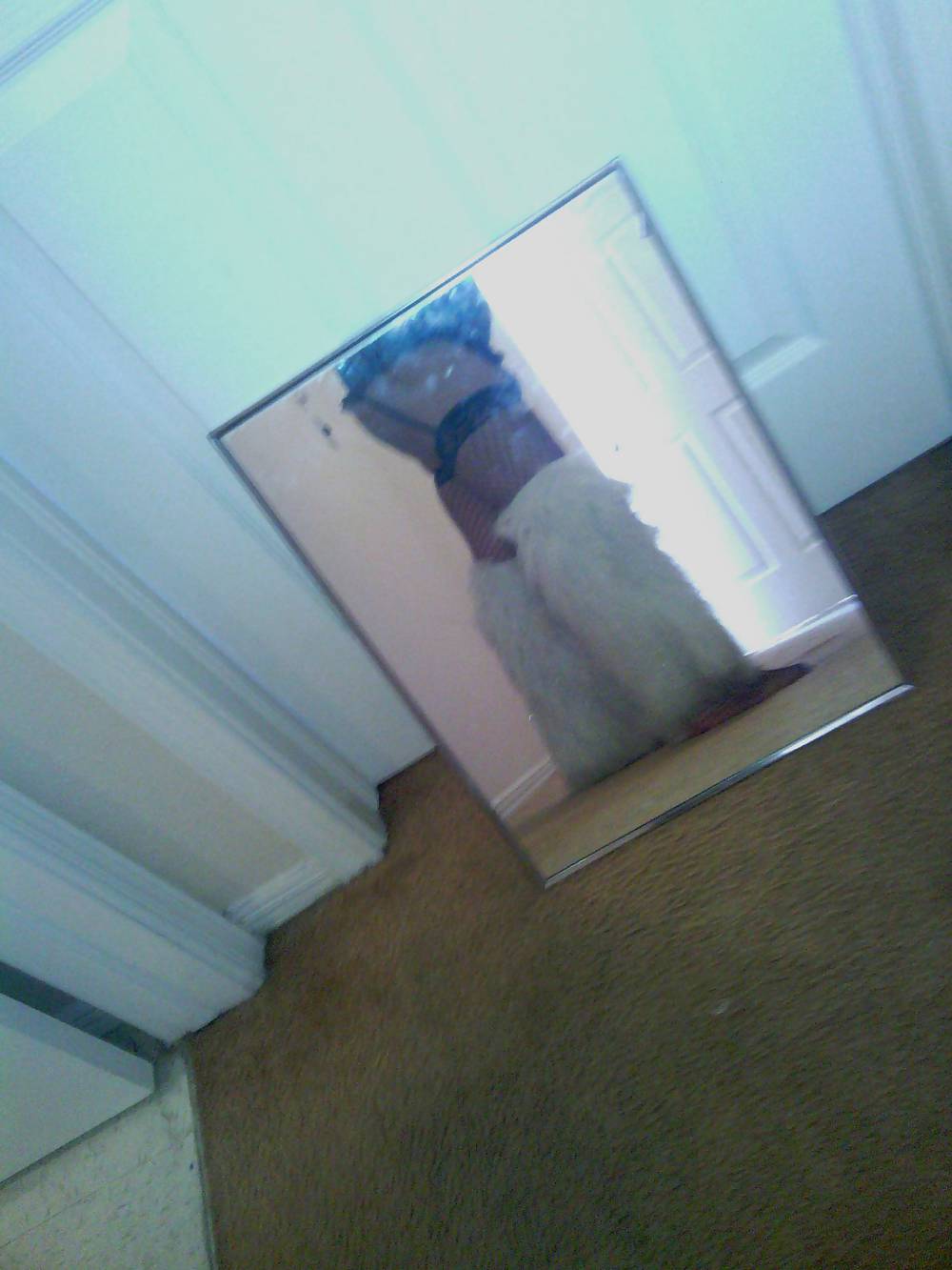 Havung Spaß #36153097