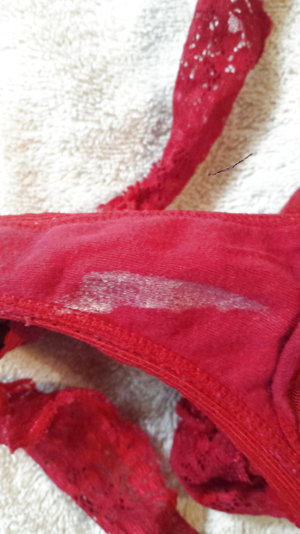 Sexy Höschen Sammlung #35130965