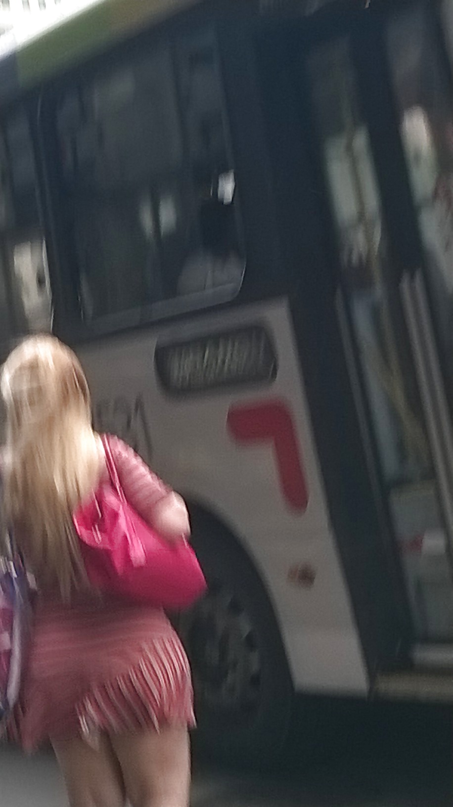Coroa tesudona #38746846