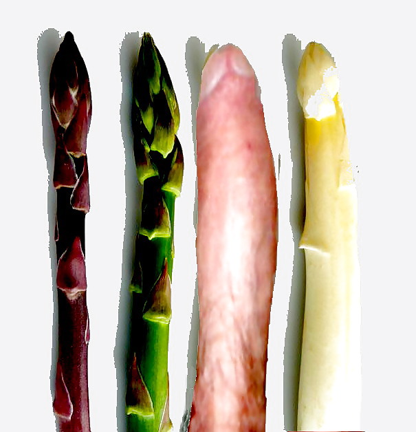 Spargelzeit
 #37336087