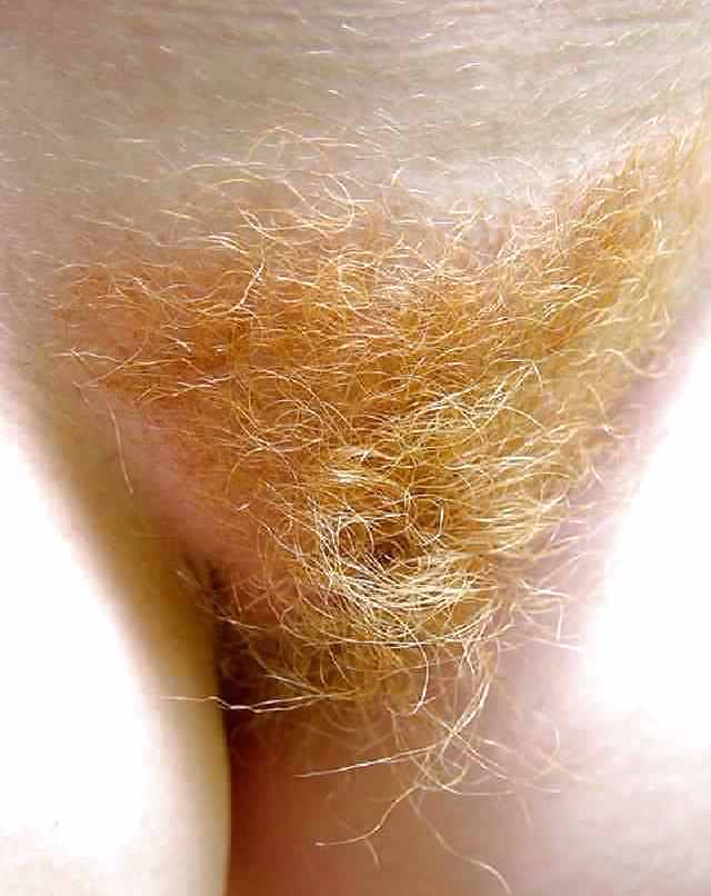 Can I Borrow a Razor 4?? #33148838